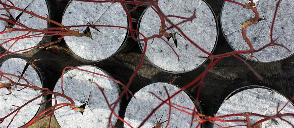 Дыскі ганчарныя кругі з нятканага абарона ад пустазелля Польшча