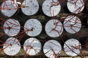 абарона ад пустазелля Польшча07